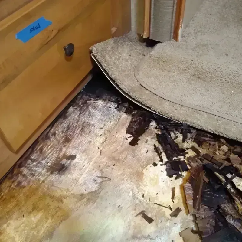 Best Wood Floor Water Damage Service in Cave Spring, GA